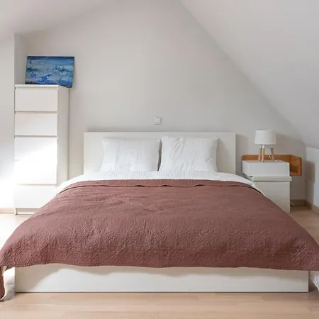 Premium 2-story Penthouse + Terrace * Рига