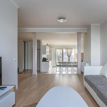 Premium 2-story Penthouse + Terrace アパート リガ